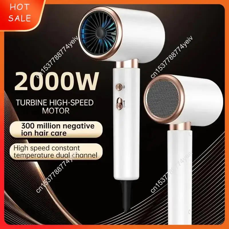 헤어드라이어 일정한 온도 및 빠른 건조 헤어드라이어(디퓨저 포함) 미국 플러그 A62X