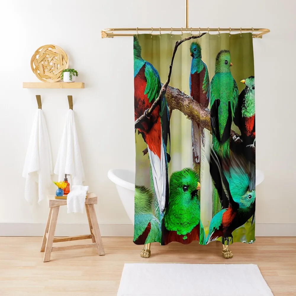

Quetzal Shower Curtain For Bathrooms Accessories For Shower And Services Anime Shower For Bathroom Curtain