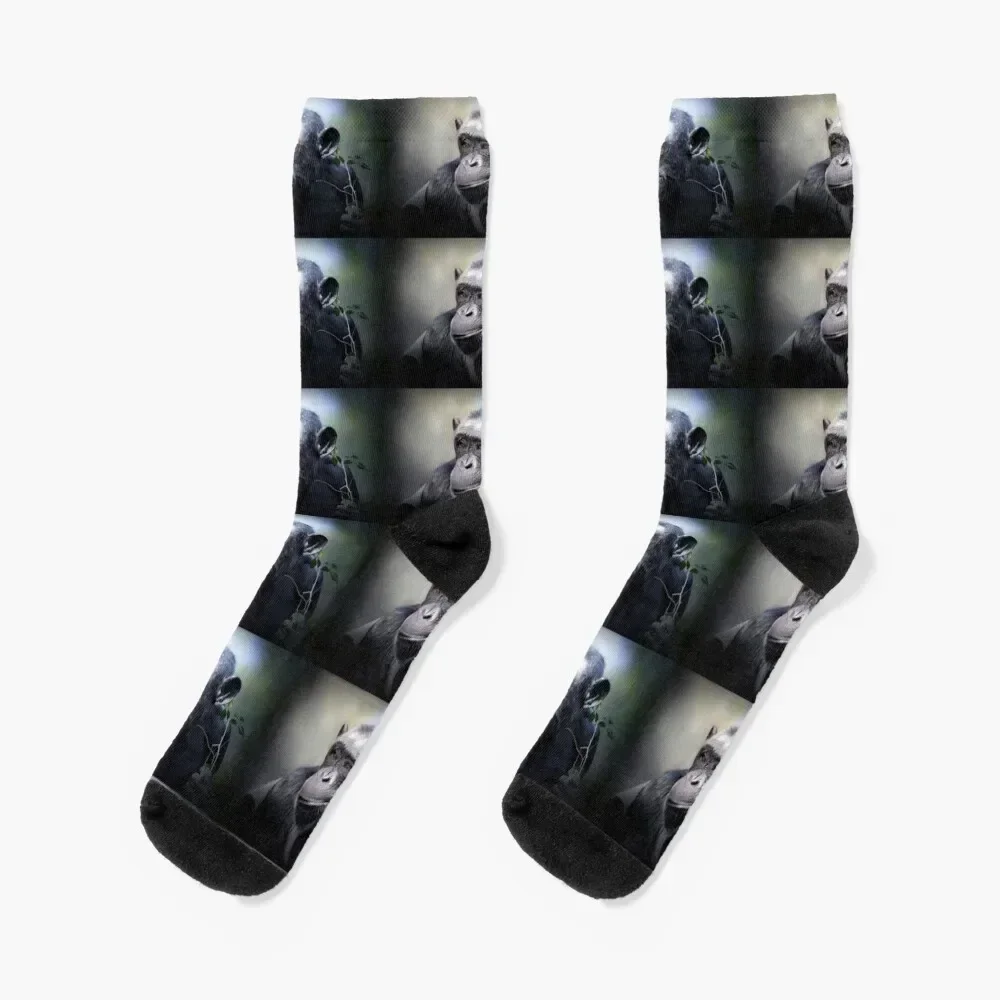 

Chimpanzee Socks FASHION anti-slip designer brand Boy Child Socks Women's