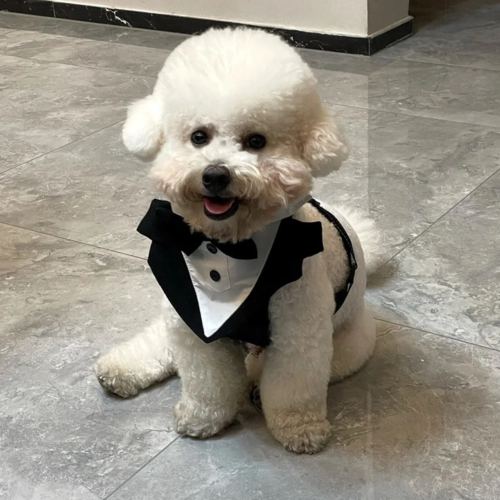 Hochzeits-Hundegeschirr im Smoking-Stil mit Fliege, verstellbare, atmungsaktive Weste mit D-Ring, kein Ziehen, für kleine und mittelgroße Hunde – Detail 15