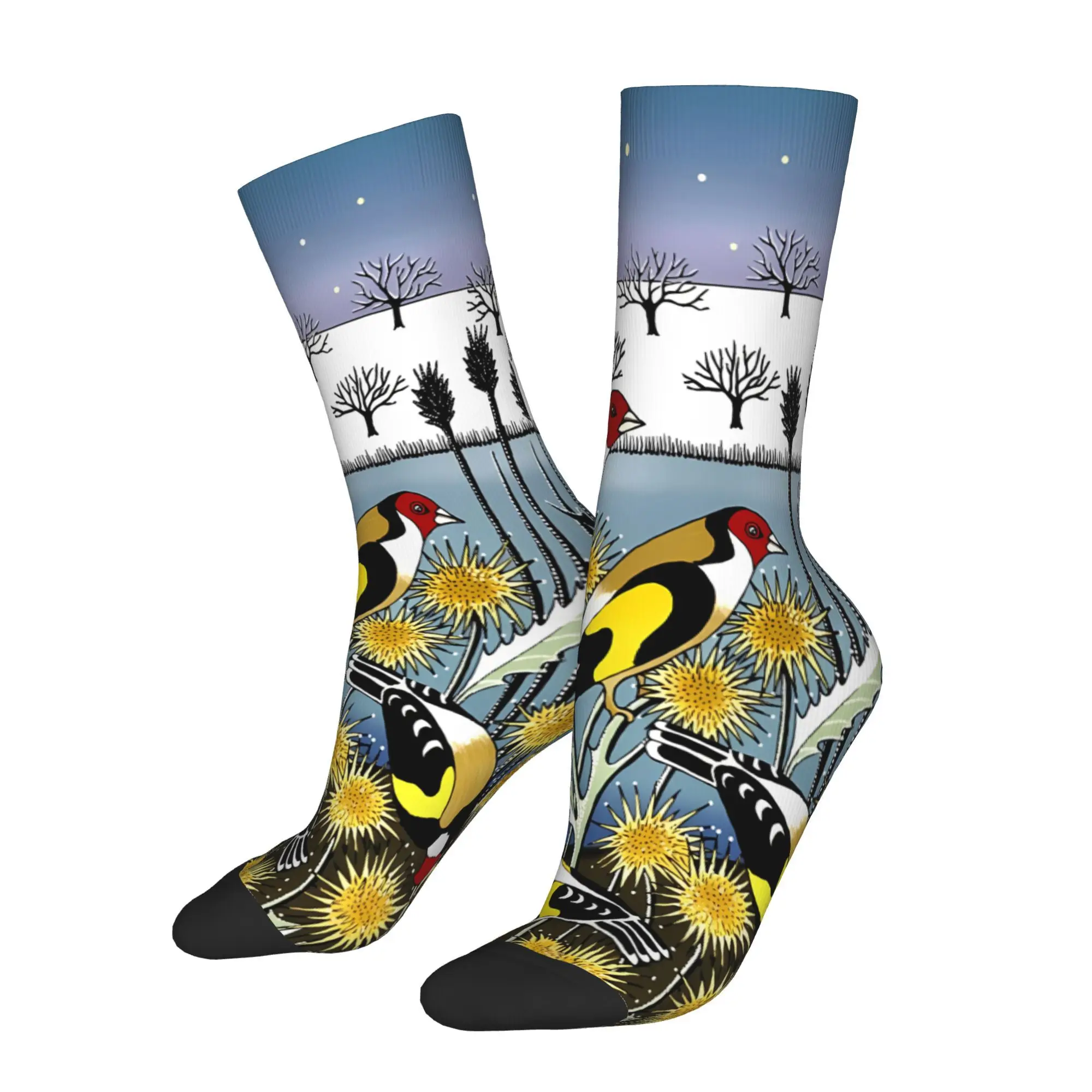 

Art Bird Socks Male Mens Women Autumn Stockings Printed