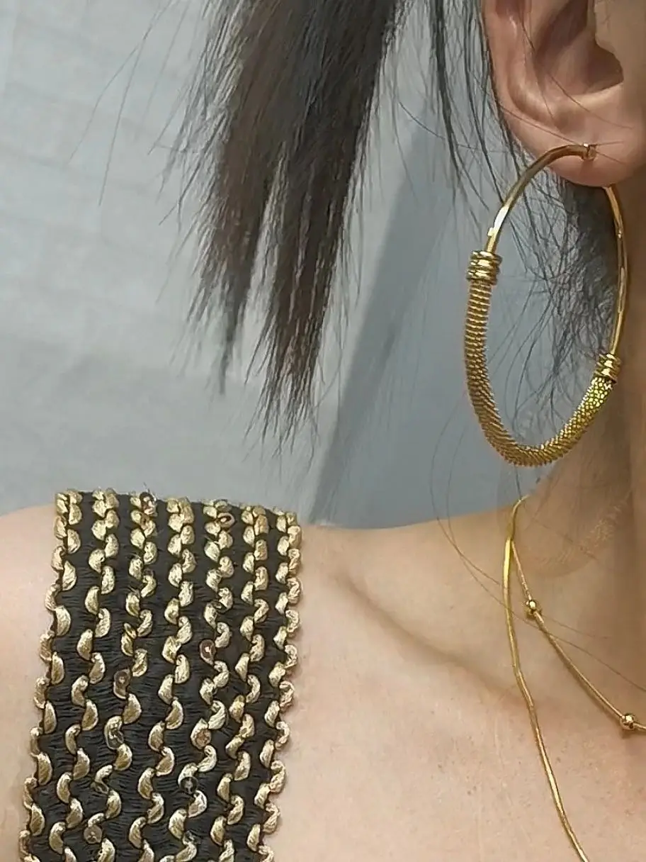 Exaggerated Personality 18 K Gold Plated Stainless Steel Women's Earrings, Women's Jewelry Wholesale Gifts