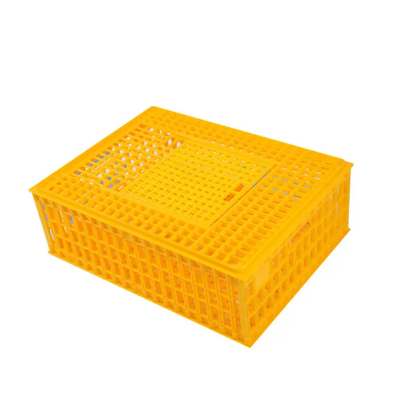 

Custom Plastic Pigeon Chicken Training Box Transport Cage Pigeon Bird Trap Cage