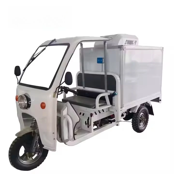 Refrigerated Van Electric Tricycle Delivery Cargo Cold Chain Ice Delivery Freezer Tricycle with New Compressor