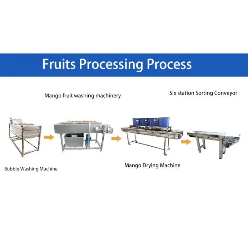 Customized Fruits Washing Processing Line Food Grade Fruit Cleaning Drying Sorting Machine For Fresh Produce Processing Plant