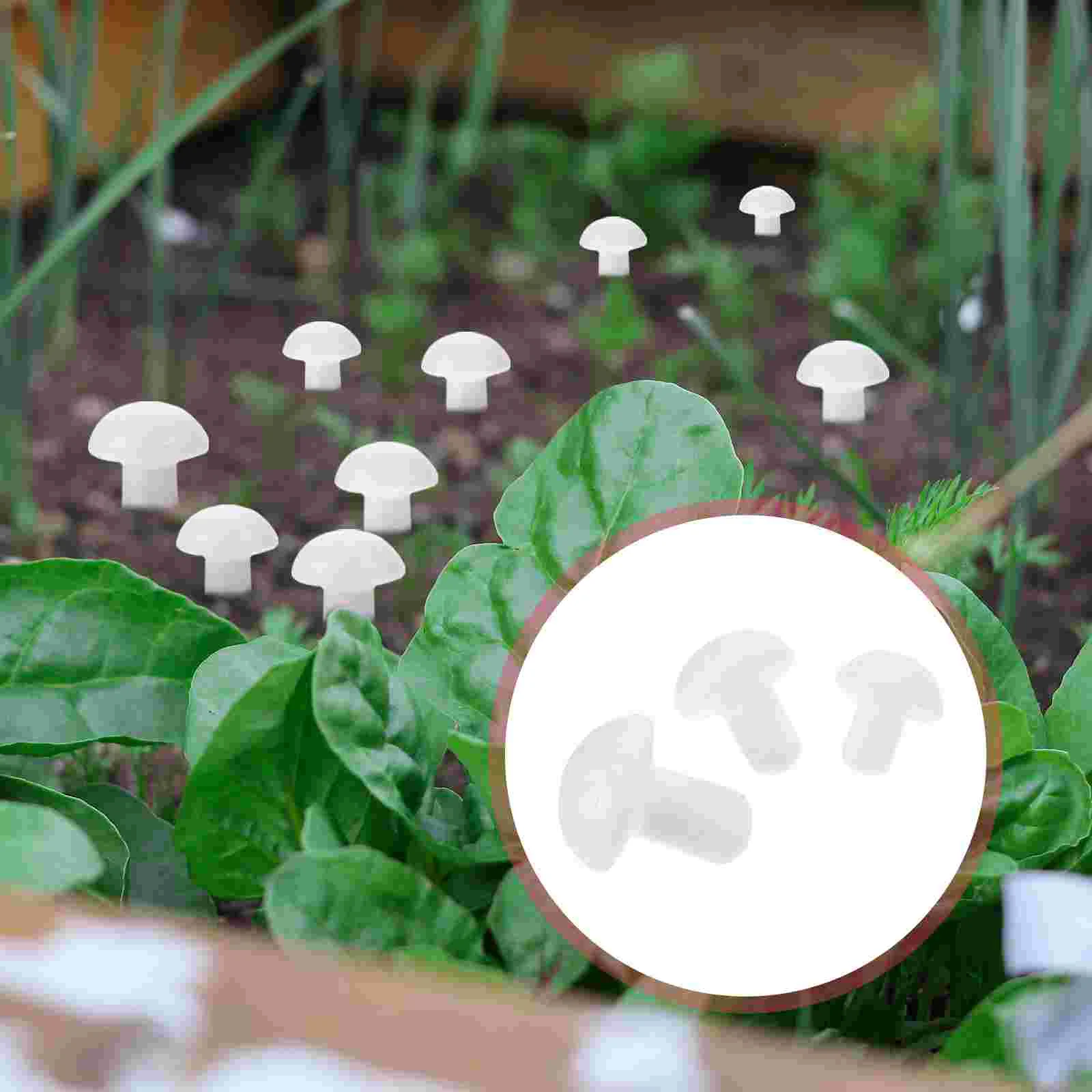 100 Pcs Mushrooms White Embryo for Graffiti Mini Garden Flower Pot Decorations naments Bonsai Decorations 2 5cm 3 5cm 4cm