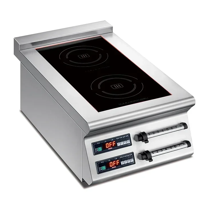 

Commercial 2-Burner Electric Induction Cooktop Stove Stainless Steel Tabletop Range for Outdoor Use
