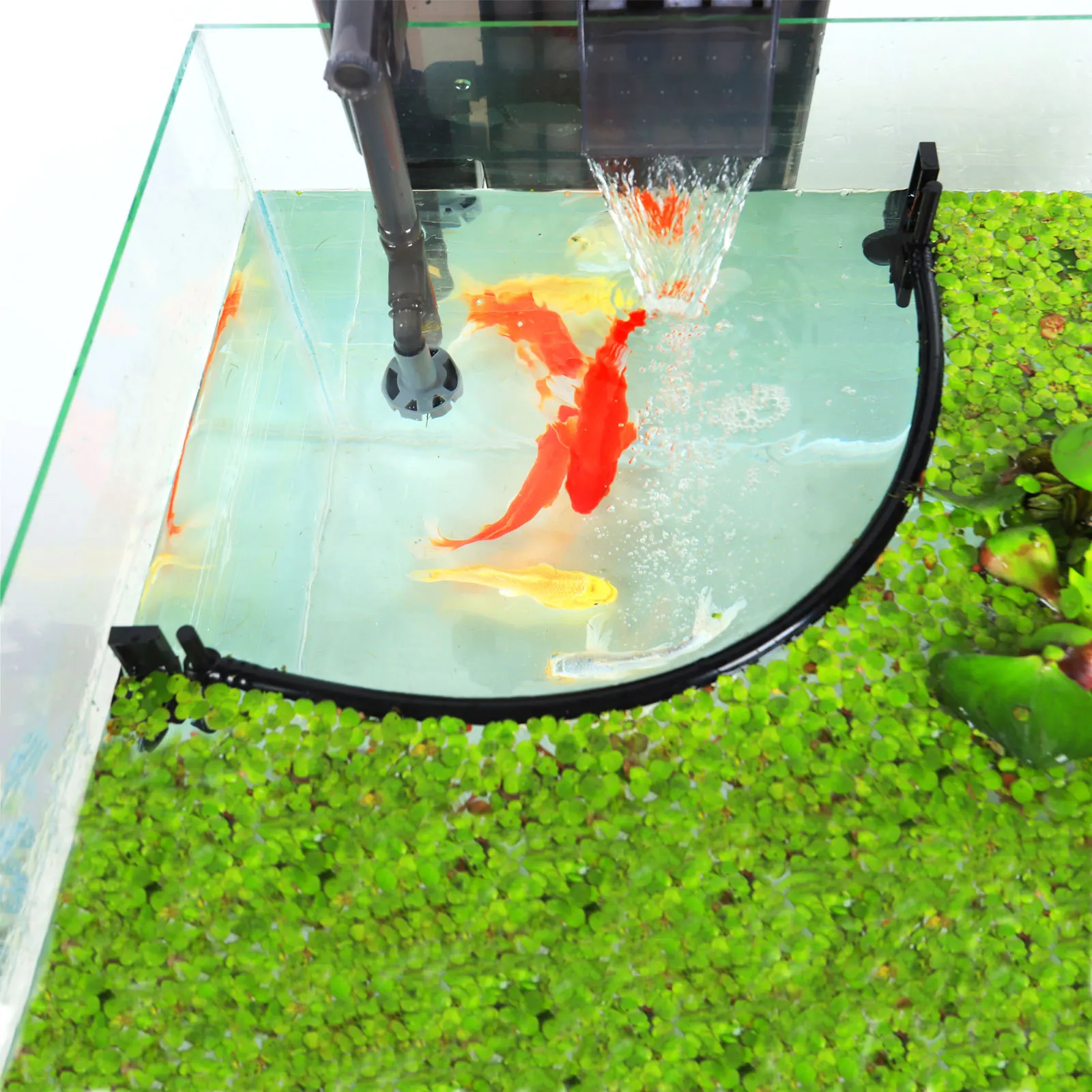 Aquarium Floating Plant Corral Intercepting Floating Plants from Filters and Heaters, Adjustable Height with Water Level