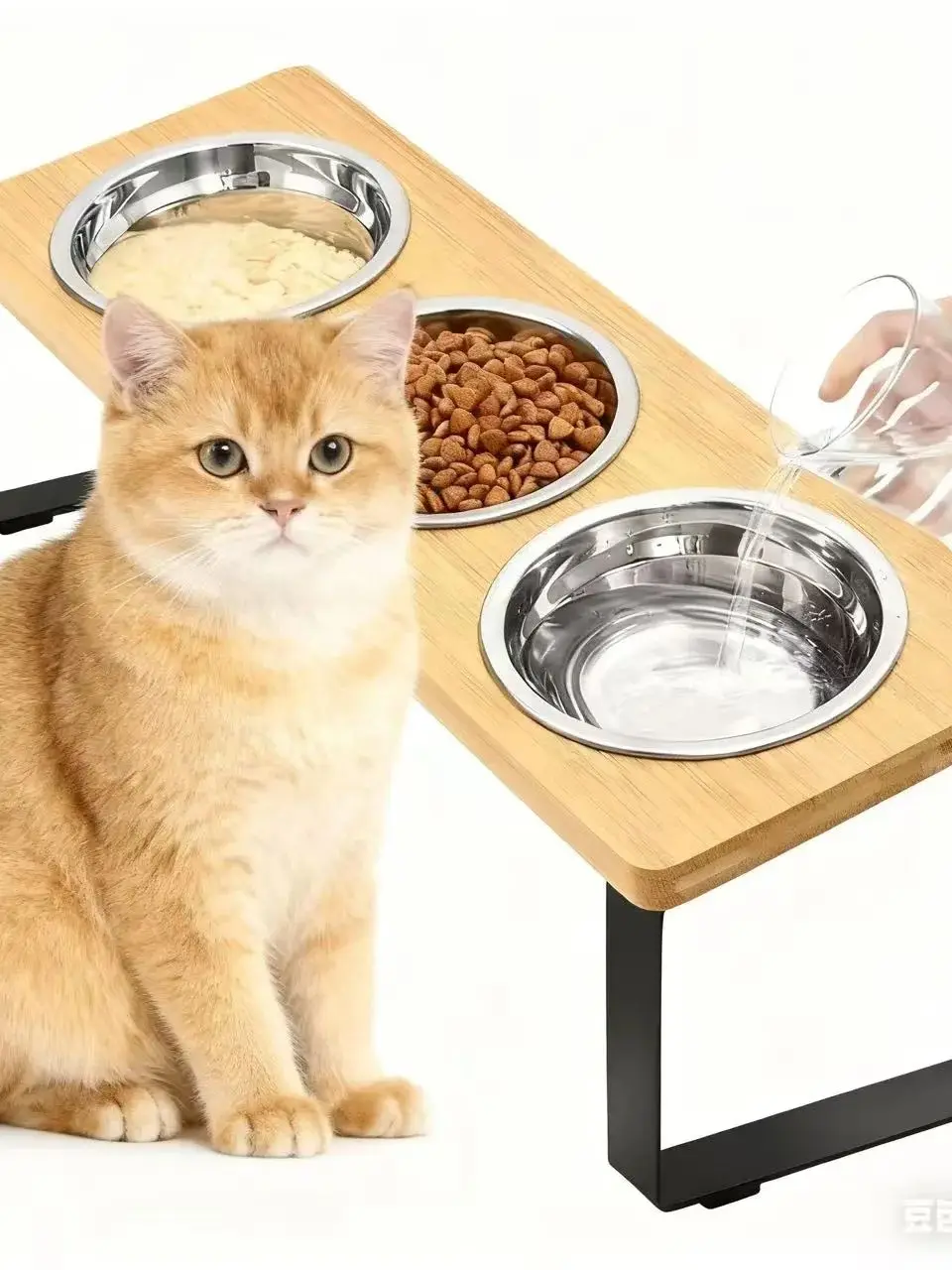 Erhöhte Katzennapf mit 3 Schüsseln aus Edelstahl |   15 °   Gekippter, kippsicherer, erhöhter Katzenfutternapf für kleine Katzen und Welpen, Pet Bo