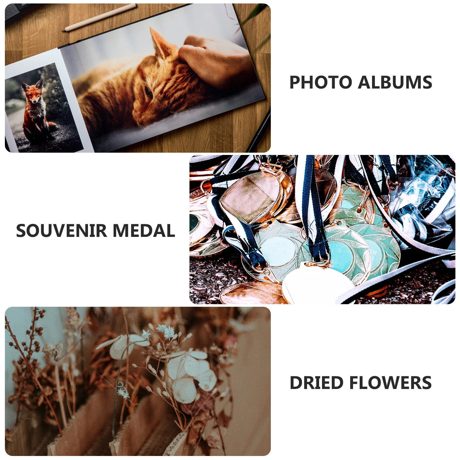 

Shadow Box Frame Display Case A4 Size Photo Keepsake Display for Dried Flowers Rustic Shadow Box Memory Ornament