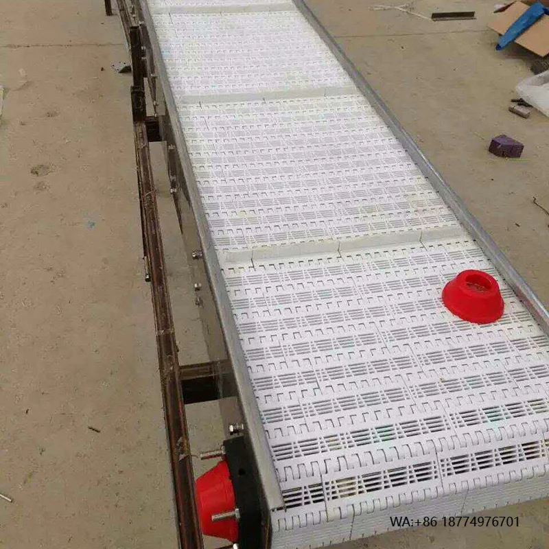 

Эффективный индивидуальный прямой пластиковый модульный ленточный конвейер для пищевой промышленности