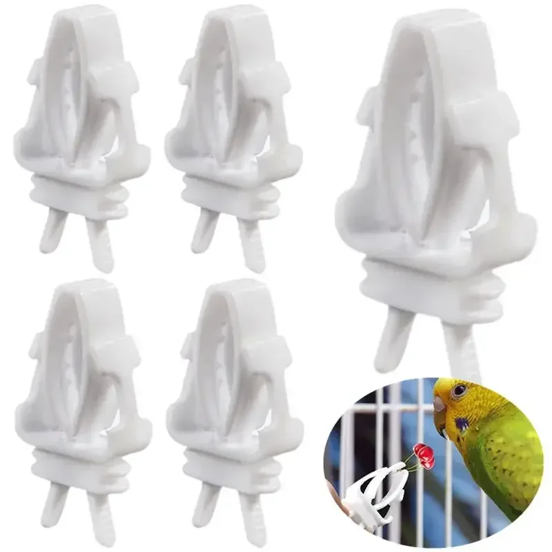 2/5/10pcs Birds Food Holder Pet Parrot Feeding Fruit Vegtable Clip Cuttlefish Bone Feeder Device Pin Clamp Bird Cage Accessories