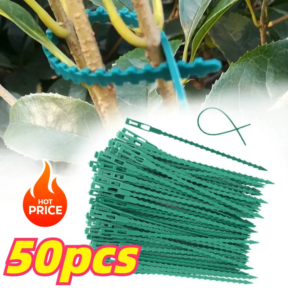 50pcs Adjustable Plastic Plant Cable Ties Reusable Cable Ties for Garden Tree Climbing Support Plant Vine Tomato Stem Clip