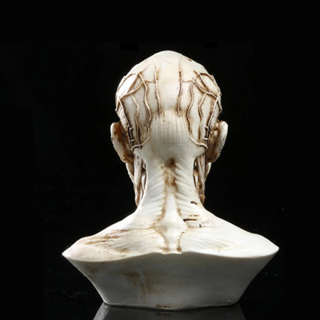 

Модель головы из смолы 10 см, классическая белая, для художников, для рисования, для школы, для класса