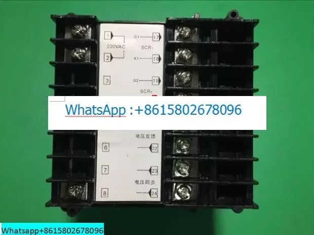 SCR Kontrol Suhu Meter TSA-V Cerdas Triac Voltage Regulator TSD-V