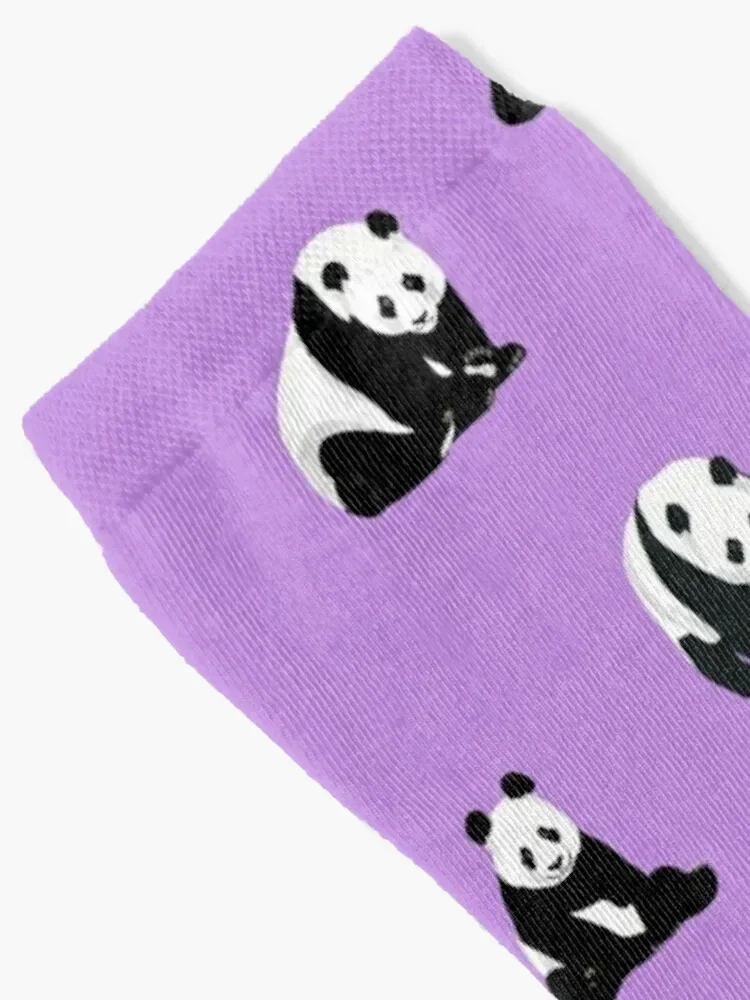 Pandas on Purple Socks professional running christmas gift sheer Men Socks Luxury Brand Women's