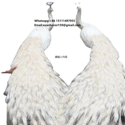 Customized Feathers Handmade Simulation Peacock Decorations Open Screen Peacock Home Living Room Garden Window Floor Decorations