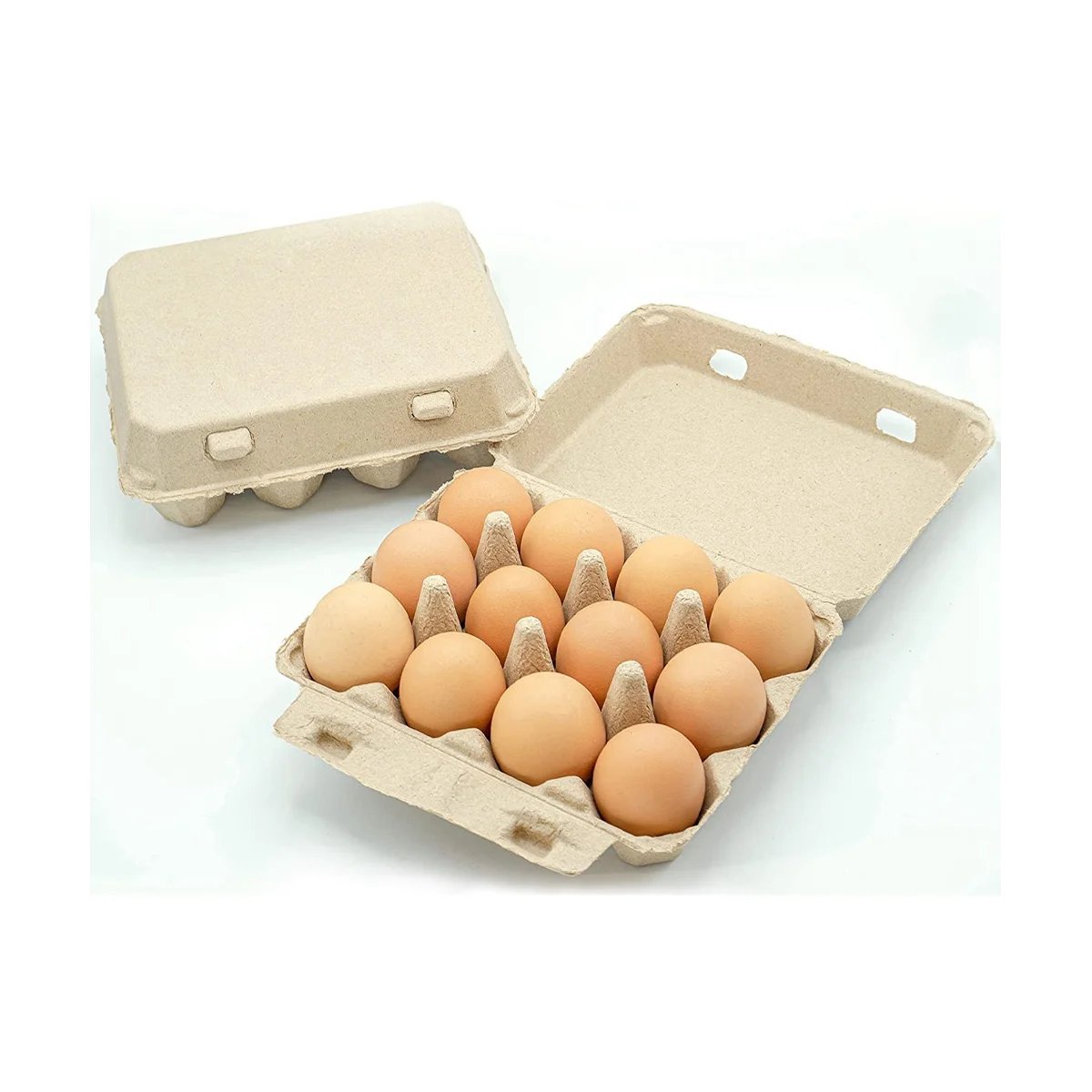 Classic 3X4 Style Egg Cartons - Holds 12 Eggs, -Friendly Material (30Pcs)