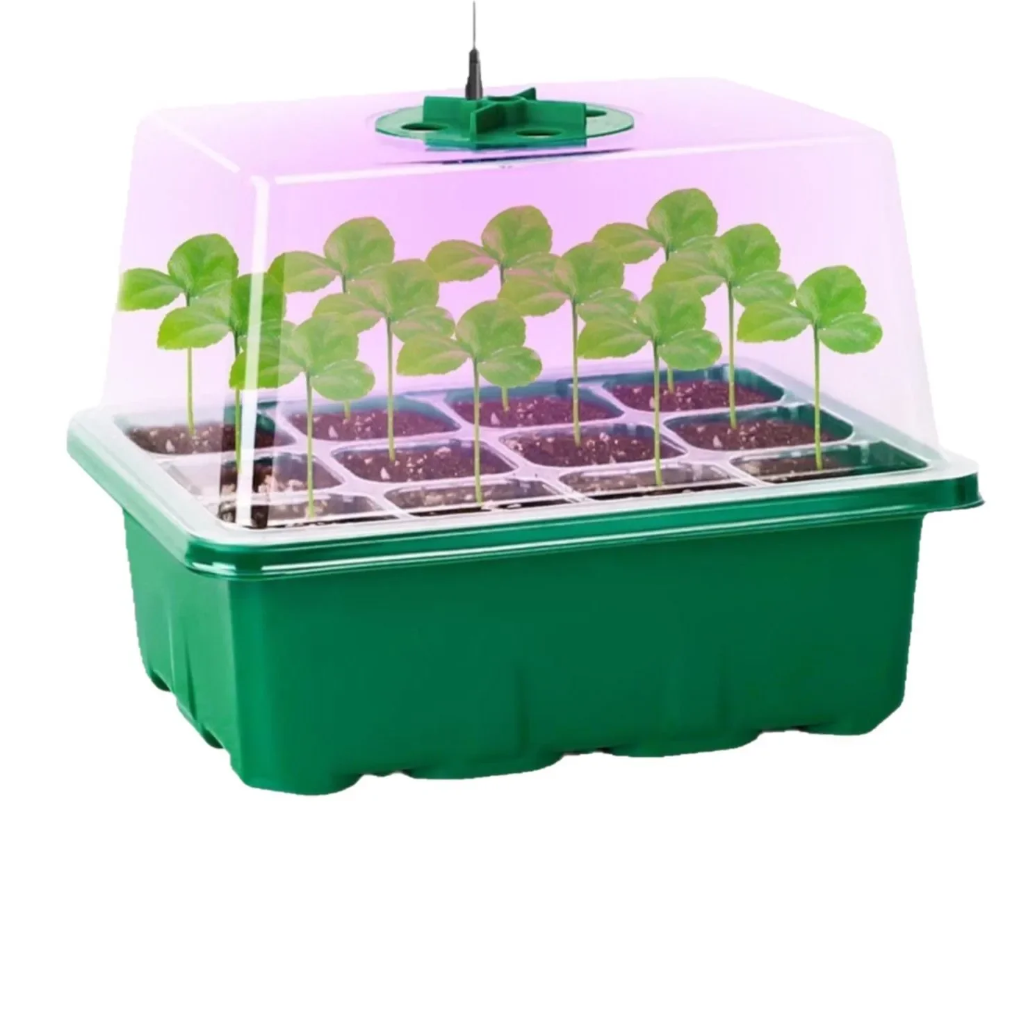 

New 12-Hole Nursery Pots in Seed Starter Trays with Grow Lights | Ideal for Home Plant Care & Greenhouse Growing Hot