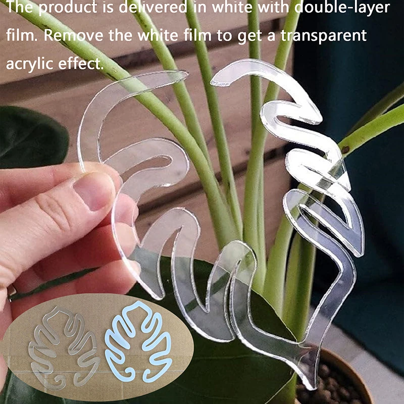 Y estacas de suporte para plantas, suporte transparente em forma de monstera, reutilizável, resistente, clipe de retenção de folhas de flores, para plano em vaso