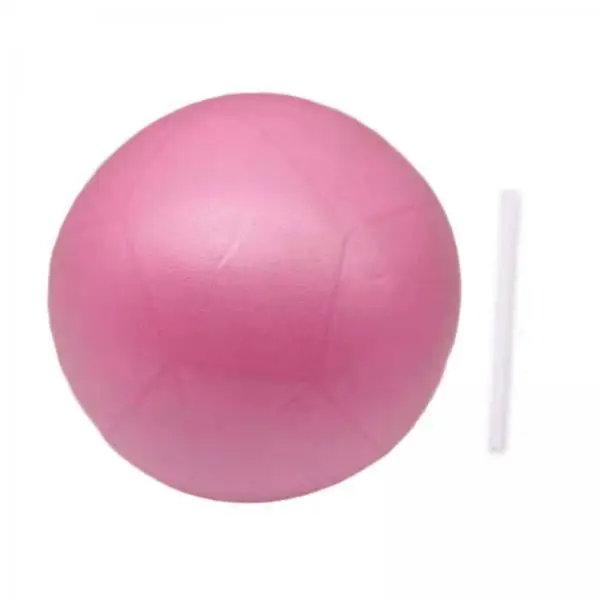 Mini Fitness Balls 15cm Exercise Pilates Ball Balance Gym Ball for Abdominal and Rehabilitation Workouts