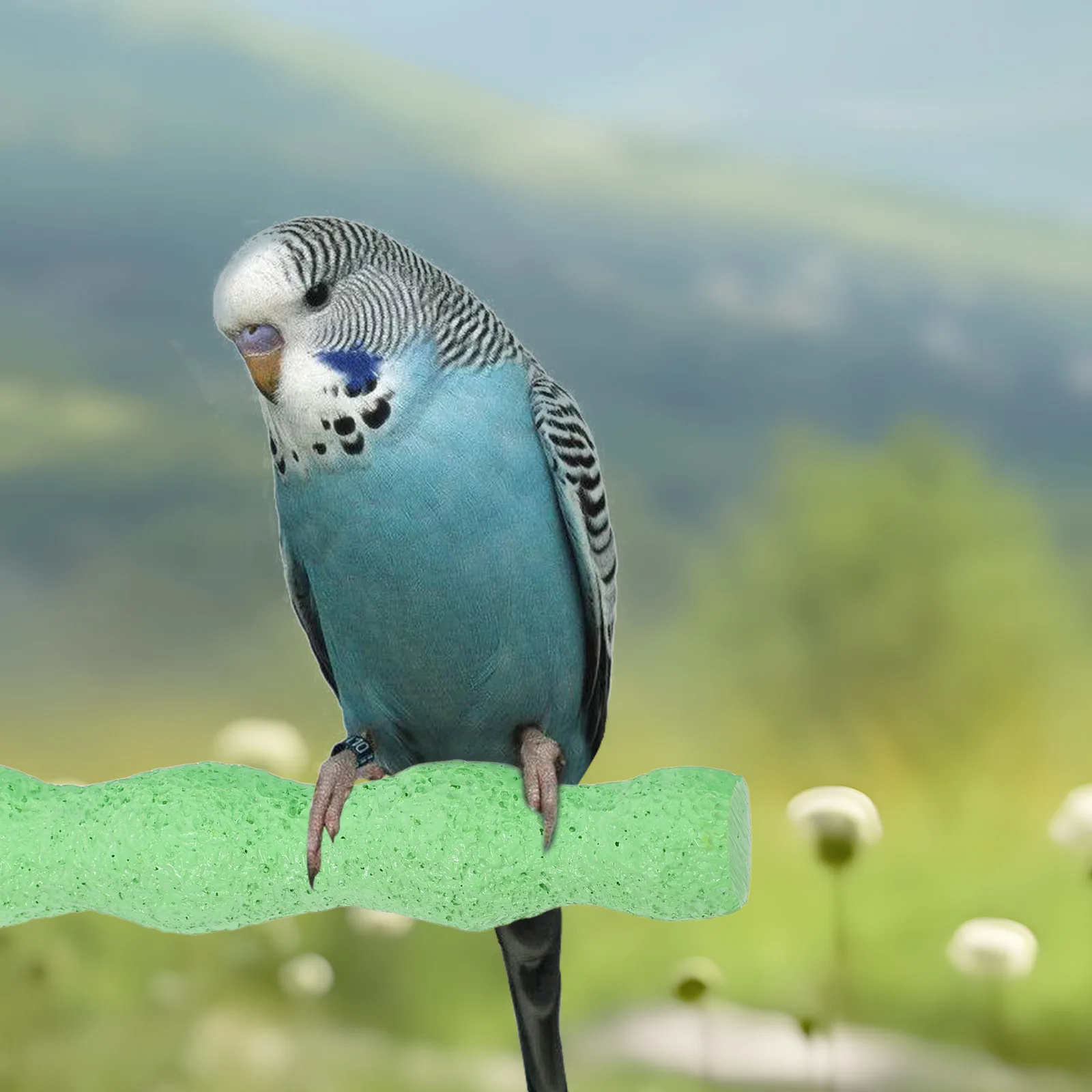 

Parrot Perch Stick Natural Resin Bird Cage Accessories Nail Trimming Chew Resistant Branch For Cockatiels Lovebirds Macaw