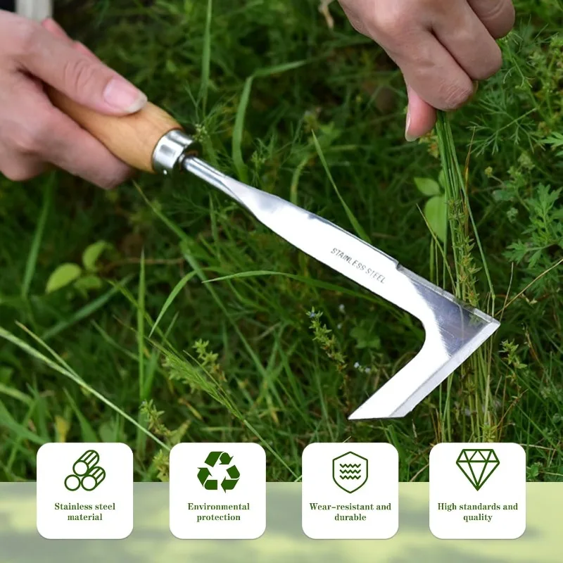 Grattoil à Désherber Manuel, 30 cm - Manche en Bois et Lame en Acier Inoxydable pour Éliminer les Mauvaises Herbes et la Mousse