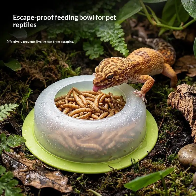 1Pc ABS Reptile Feeding Dish Anti Escape Design Worm Food Bowl Terrarium Supply For Gecko Lizard Snake Turtle Tortoise