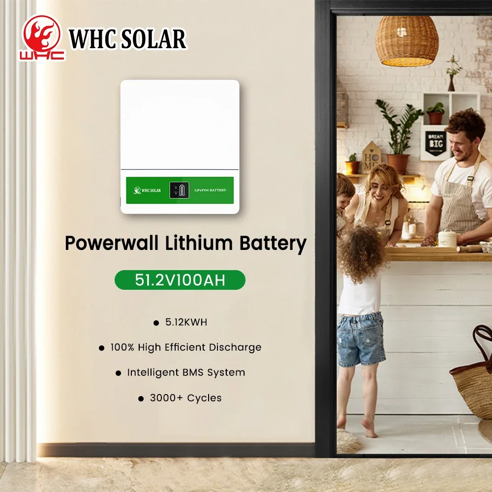 48V 100Ah Lithium Battery Pack Lifepo4 Litium Ion Battery 51.2v Solar Battery Energy Storage System For Home