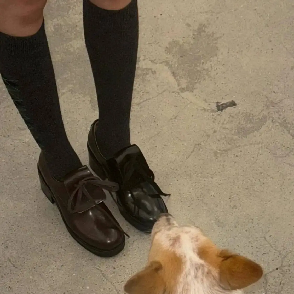 جديد فاخر ريترو سميكة القاع المتسكعون النساء جولة تو حذاء مسطح ربيع الخريف ركاب أحذية المشي حذا فردي للسيدات #2