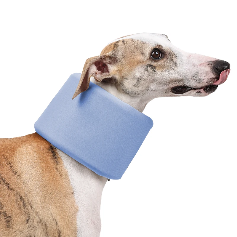 

Pet Care Neck Hoop Collar Dog Assisted Cervical Surgery Recovery Neck Brace Relieves Cervical Spondylosis in Pet Dogs Neck Hoop