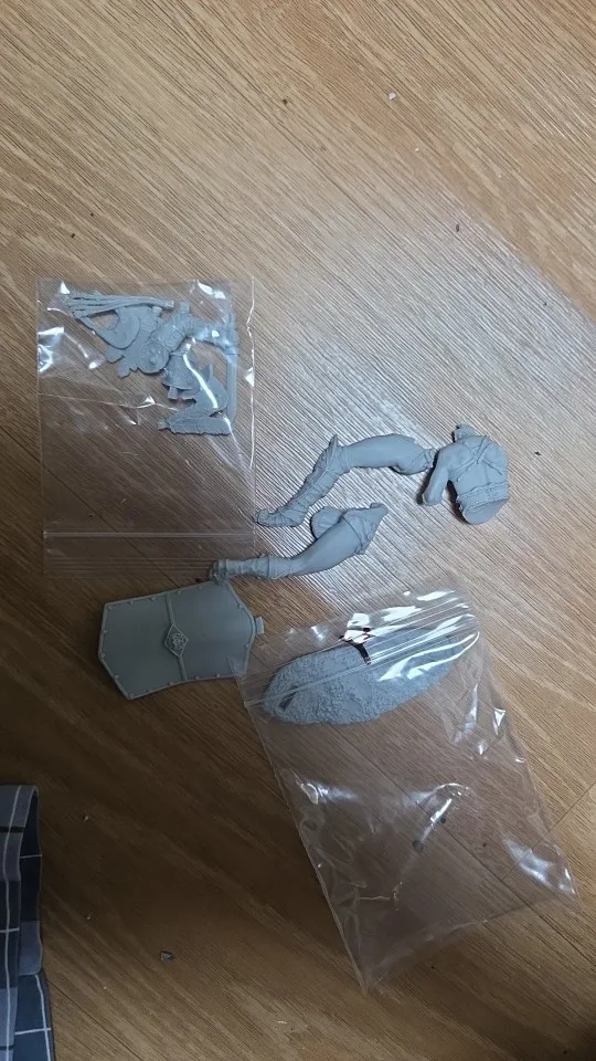 Buyer photo of this resin kit