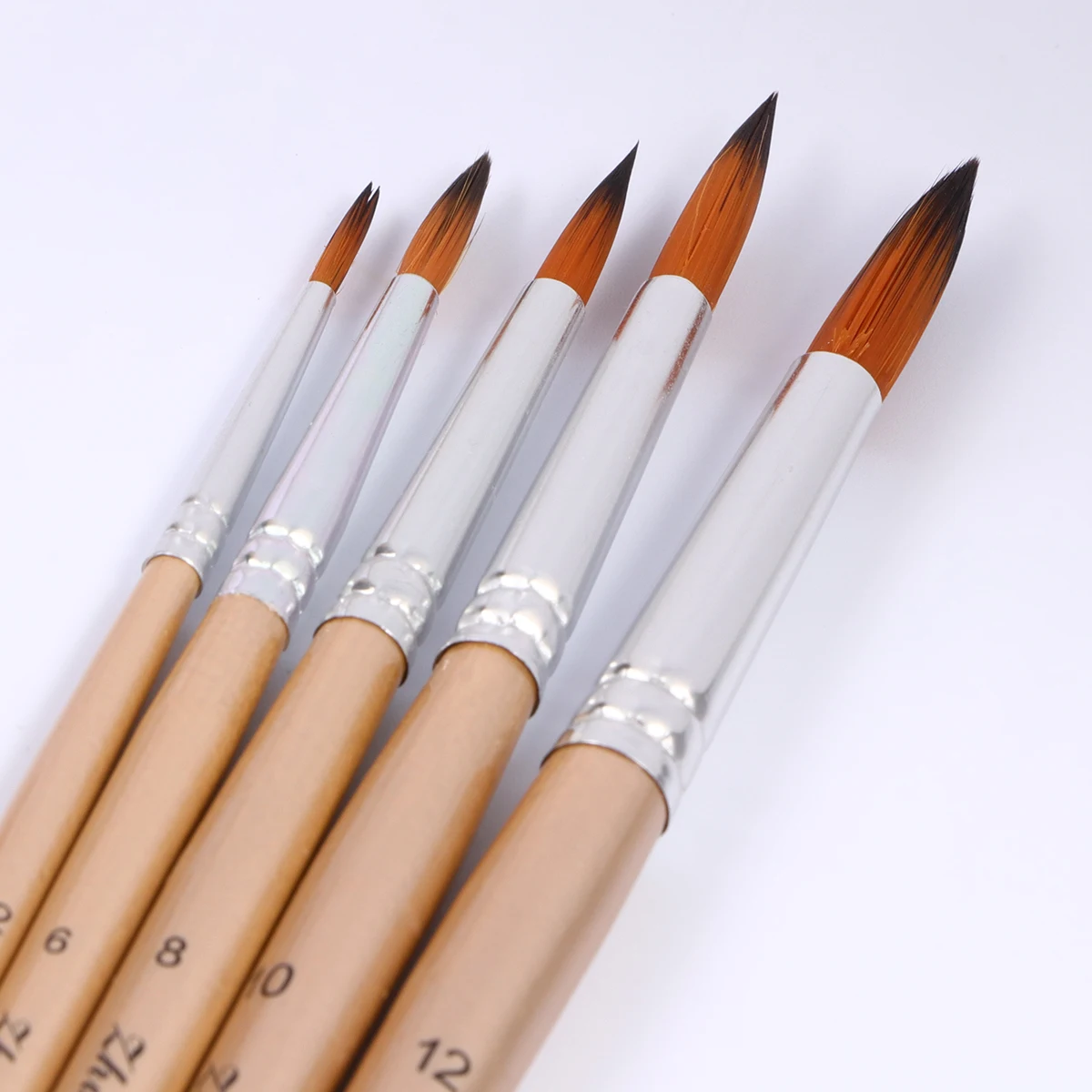 Рисунок 2 - Набор из 5 кистей для рисования