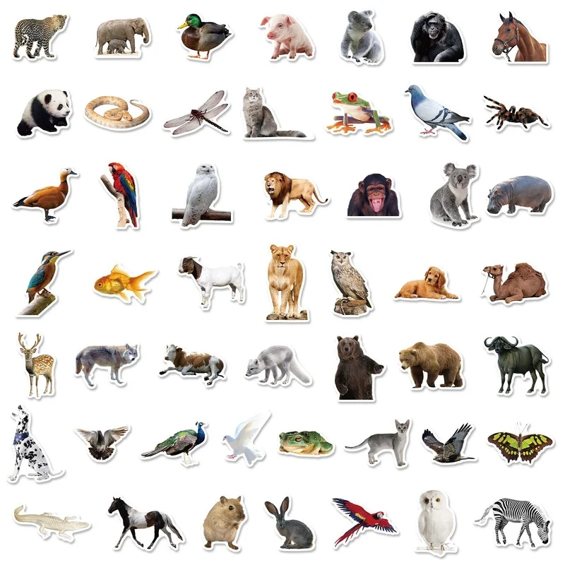 10/25/50pcs Zoo Jungle Wild Animal Stickers for Teaching Wall Decal Bedroom Classroom Wall Decor phone travel luggage helmet