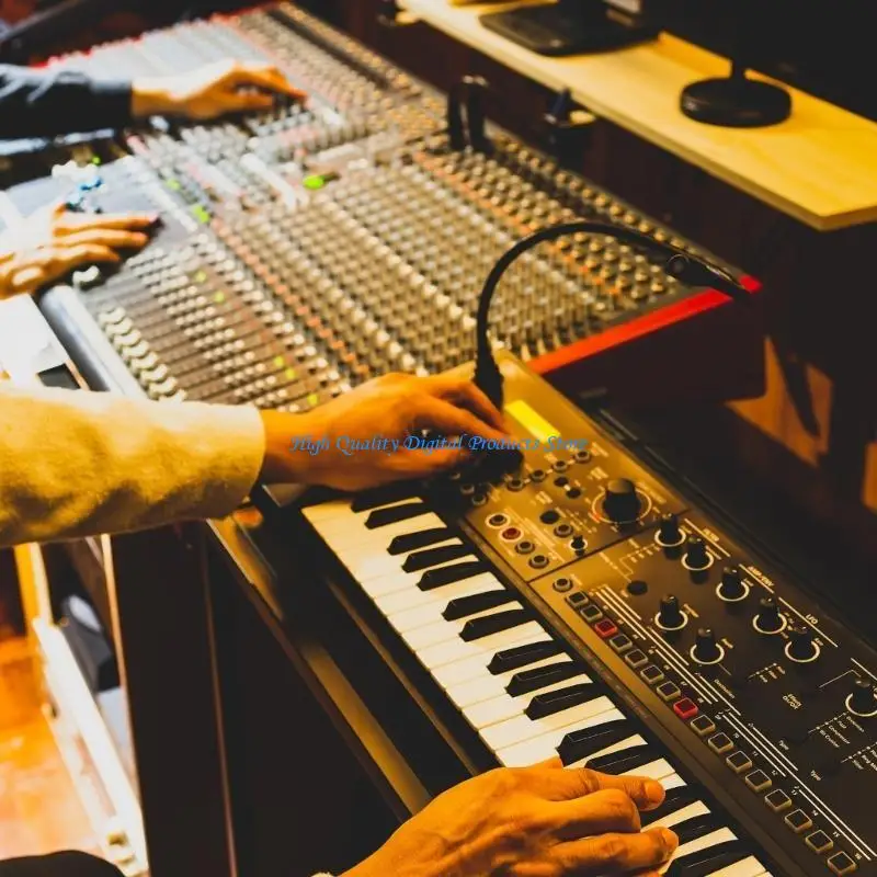 U2JE 4MM مكبر صوت BANANA PLUD GOLD موصل مكبر صوت مطلي بالذهب