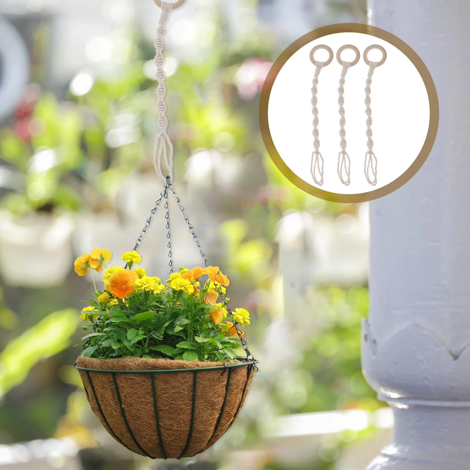 

6pcs Handwoven Flowerpot Hanger Set Cotton Rope Plant Hanger Indoor Macrame Hanging Holder Wall Mount Planter Net Bag For