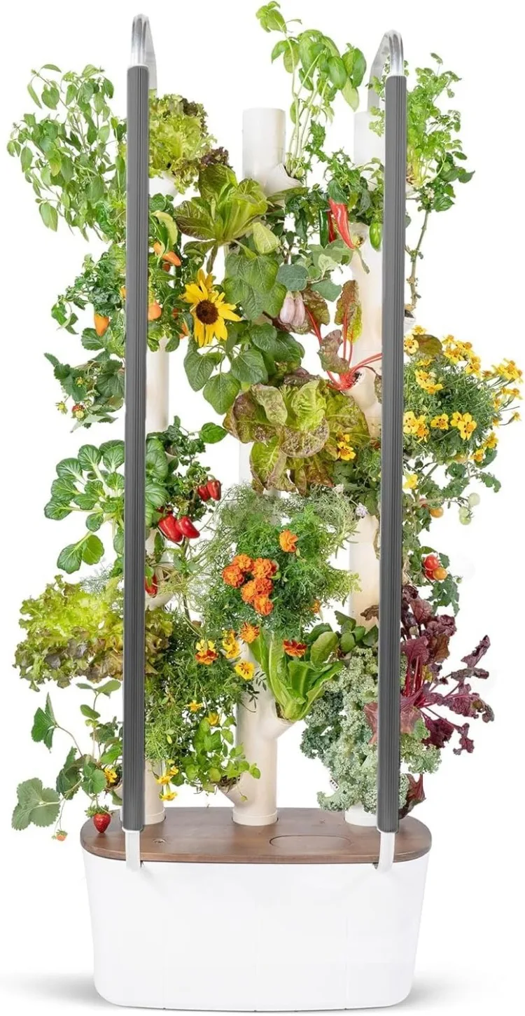 3.0 Hydroponics Growing System Kit,Vertical Indoor Garden Planter Herb Garden,30 Non-GMO Indoor Plants,Herbs,Vegetables