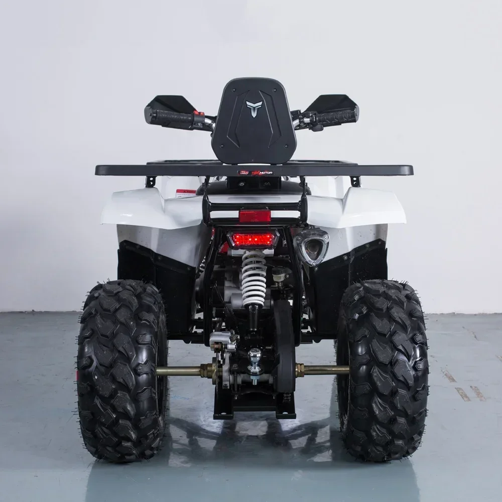 Atv 200cc 4-Stroke Automatic Quad Bike Off Road 4 Wheels Motorcycle Electric Start Utv Chain Drive Rear Disc Brake 10inch Tire