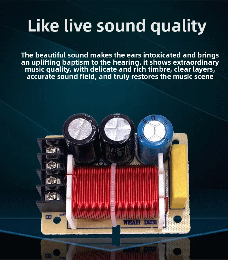 100W 2-Wege-Lautsprecher-Frequenzweiche 2900Hz 4-8 Ohm Professionelles Audio Direkt vom Hersteller 2 Stück – Detail 1