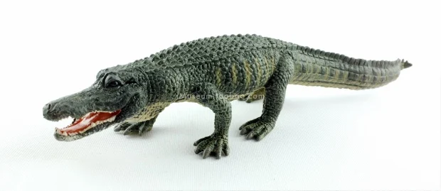 الحيوانات البرية محاكاة لعبة مجسمة النيل التمساح الأمريكية قصيرة Snouted التمساح الشعور المادي يمكن أن يكون لعبة مجسمة العملي #5