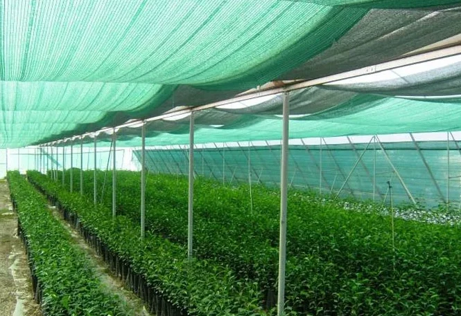 2025年中国工場製HDPE UVカット40%～80%遮光ダークグリーン農業用温室遮光ネット