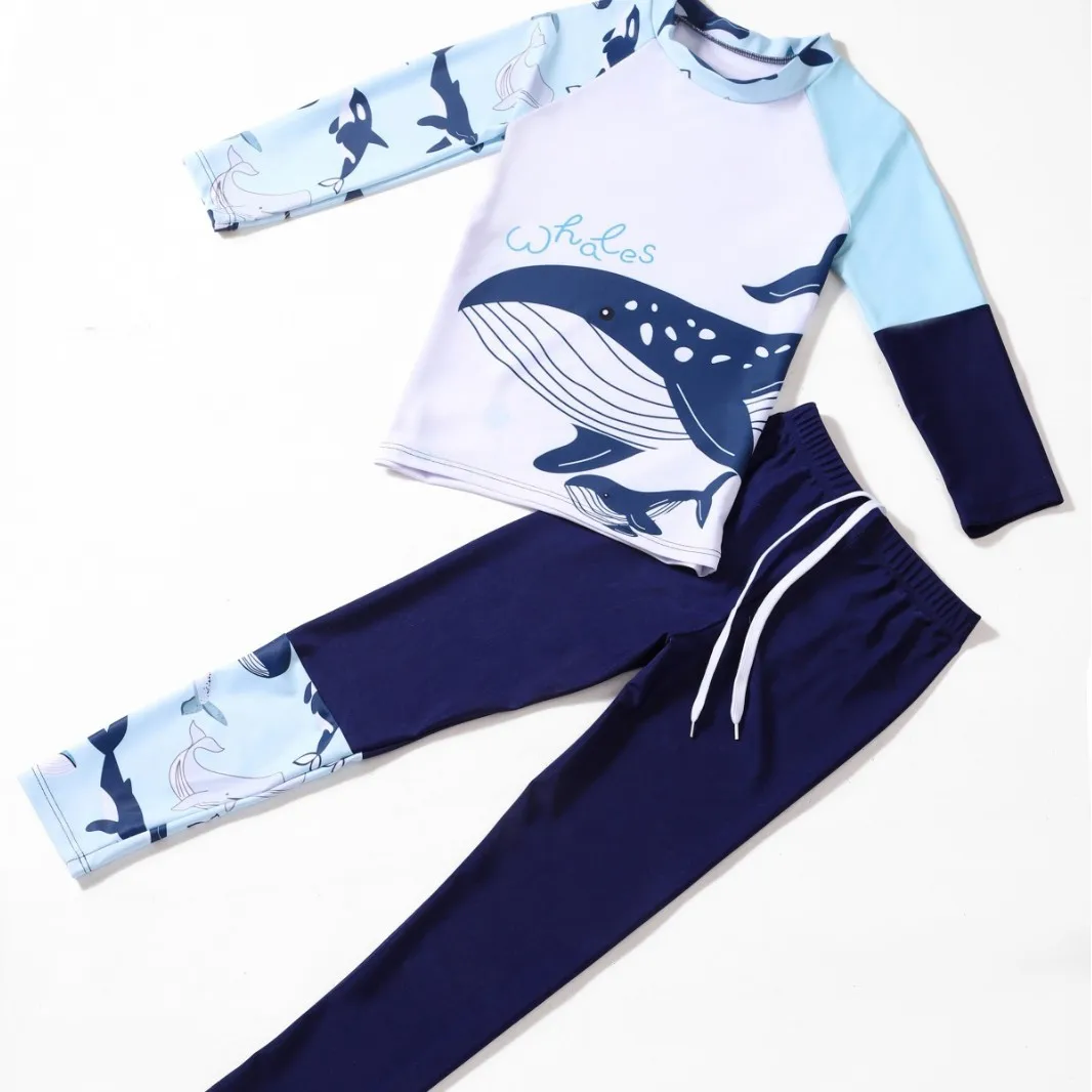 Boys Summer Two-piece Swimsuit Kids Long Sleeve Sun-protective Quick-Dry Cartoon Shark Whale Print Swimwear Baby Bathing Suit