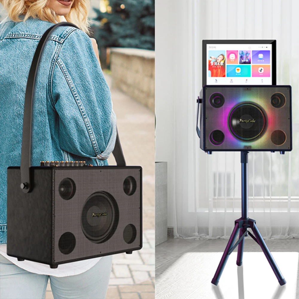 Riotouch Portable Karaoke Set System Professional Karaoke System With 14 Inch LED Screen Home Sound System Karaoke Entertainment