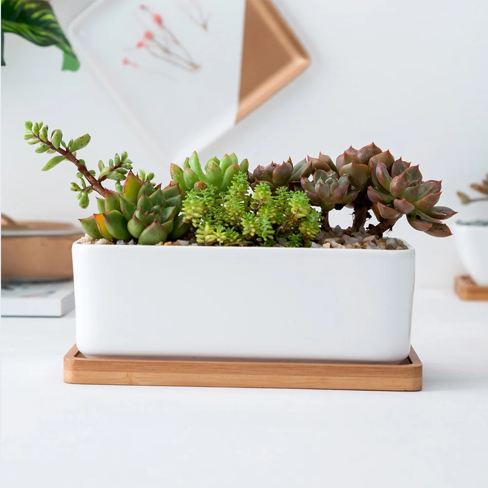 Artificial Plants Rectangular Planter Ceramic Bamboo Tray Succulent Garden Bonsai Pot Planters with Flower