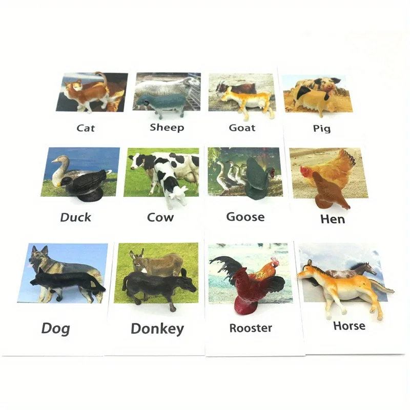 Montessori Animal Matching Card,Language Learning Cognitive Kids Educational Toy Insect Farm Zoo Preschool Toddler 1 2 Years Old