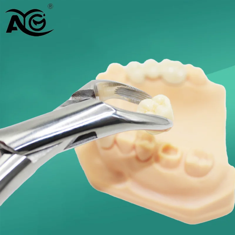 

AG Dentistry Children Tooth Extraction Forcep Residual Root Deciduous Tooth Plier Orthodontic Dentist Surgical Instrument Tool