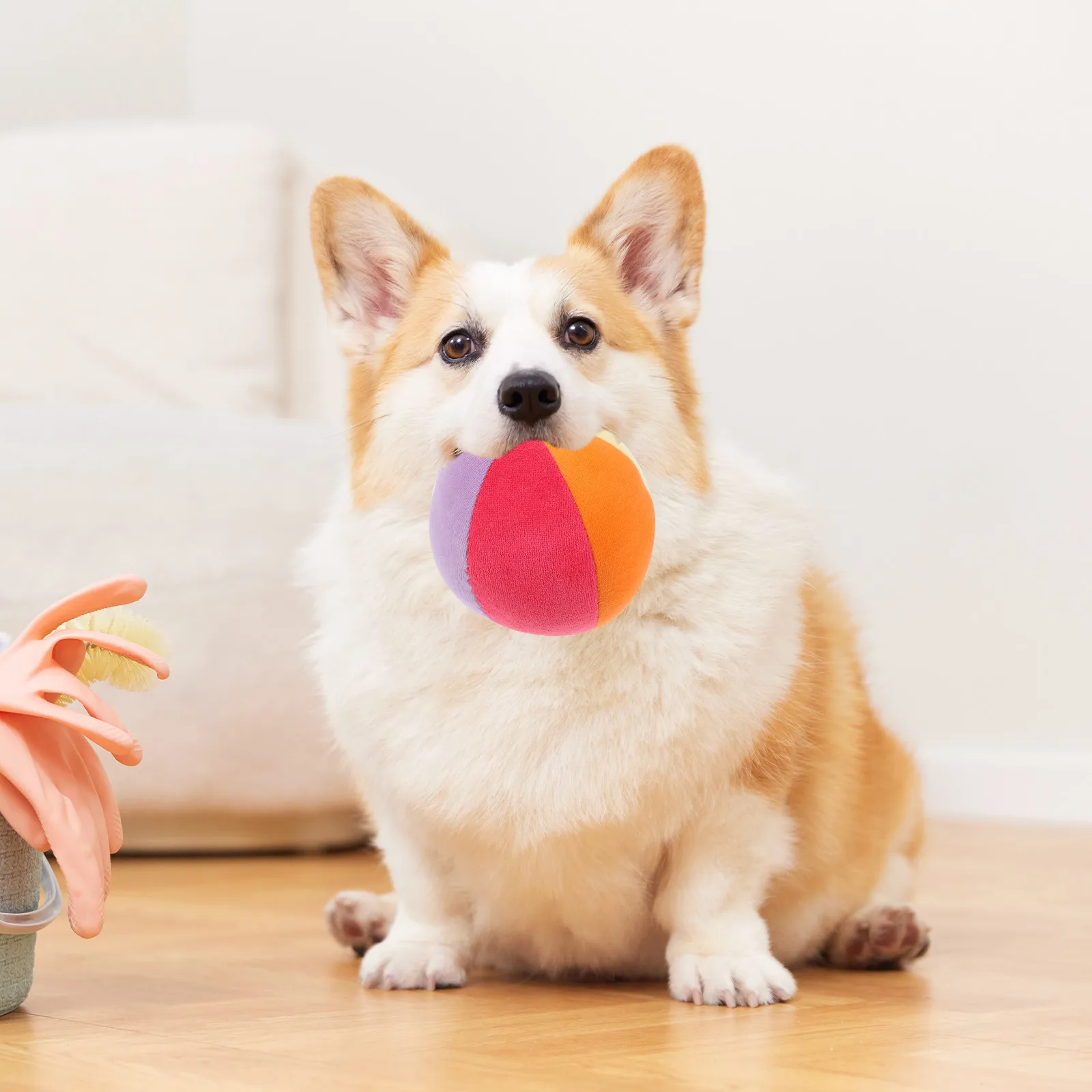Balle à mâcher pour chien, sphère rembourrée, légère, couineuse, interactive, résistante aux morsures, jouet de jeu pour la maison, molaire amusante pour chiot