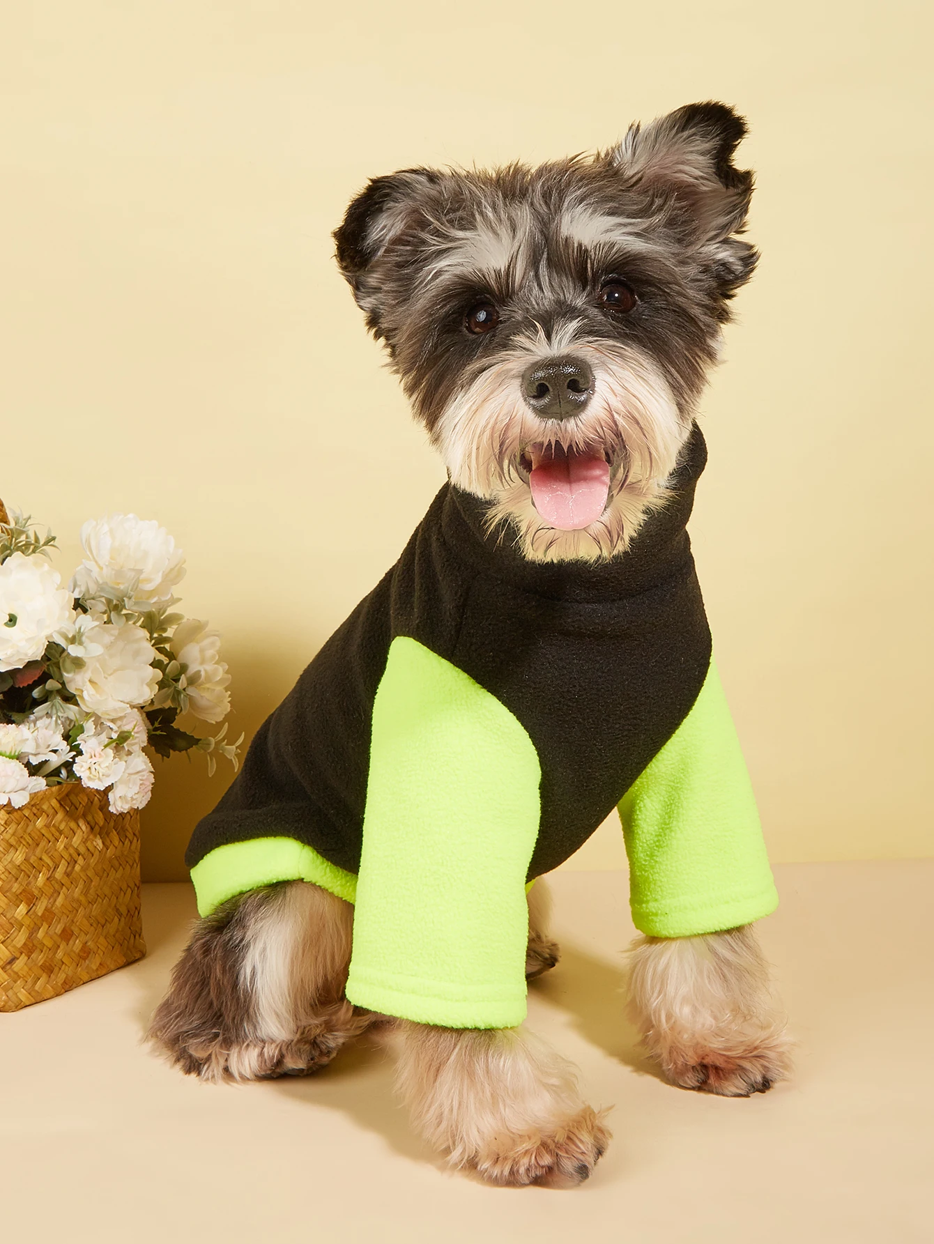 Pet Turtleneck Clothes for Dog Cat Puppy Comfotable Coat Sweatshirt Dog Outfits for Autumn Winter Yorkie Poodle