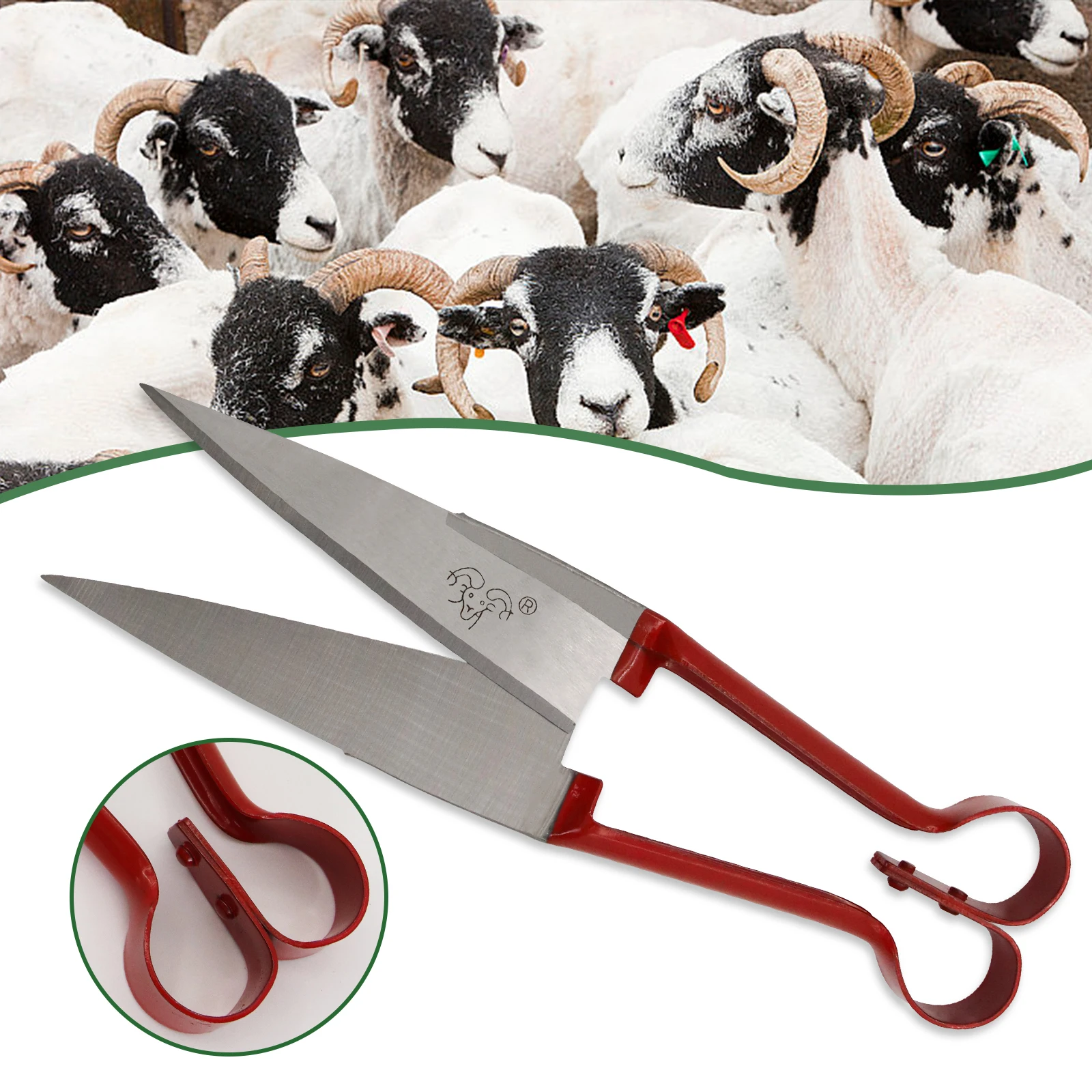 Tijeras de lana para ovejas, cortadora Manual multifuncional de acero inoxidable para lana de oveja, para cabra, ovejas, caballos, conejos y plantas, 1 ud.