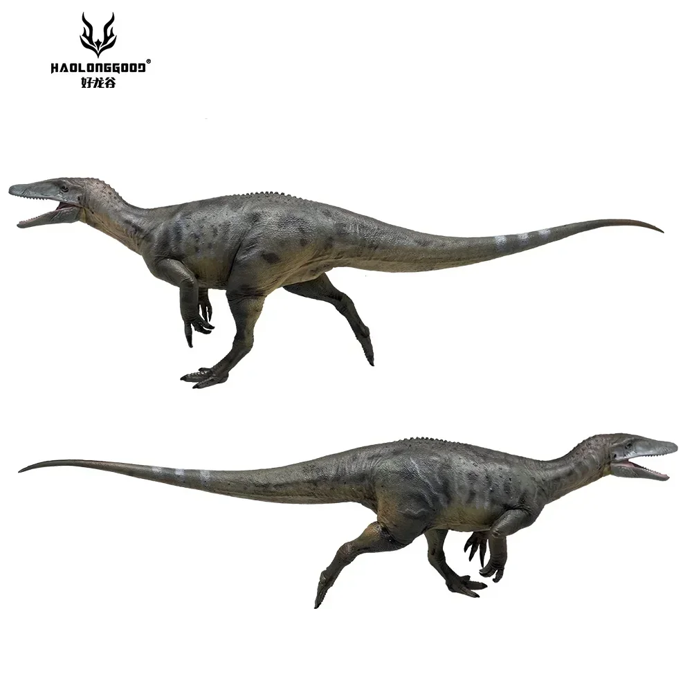 

Модель динозавра 1/35 Haolonggood Megaraptor, старинная игрушка-фигурка животного прегистроя